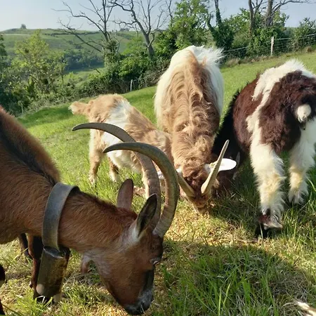 Camping Ferme De Castel Pouzouilh