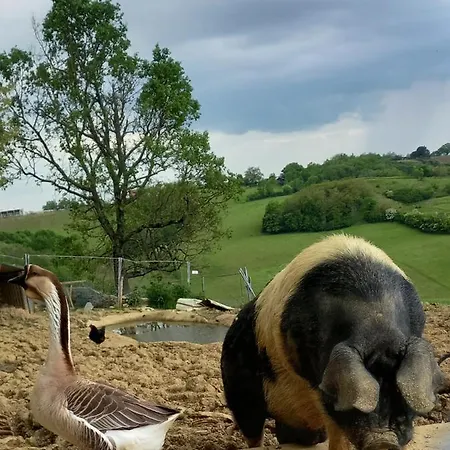 Ferme De Castel Pouzouilh Le Fossat