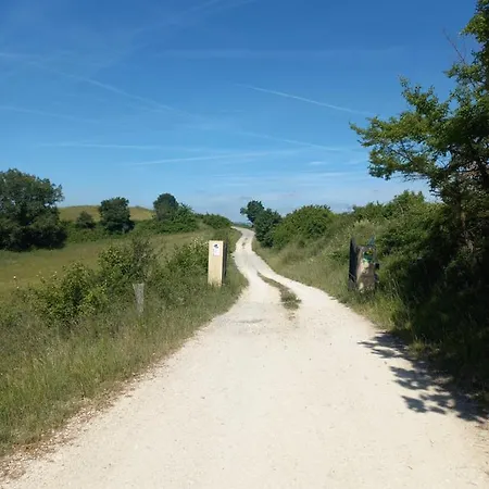 Ferme De Castel Pouzouilh *