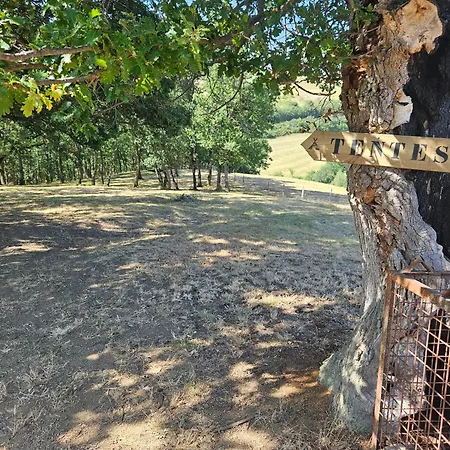 Ferme De Castel Pouzouilh *