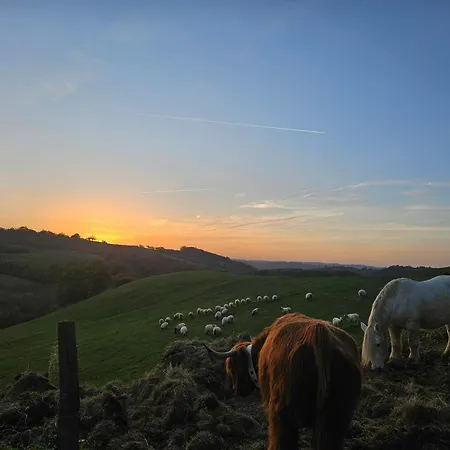 Ferme De Castel Pouzouilh *