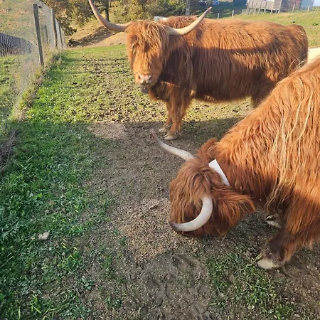 Ferme De Castel Pouzouilh